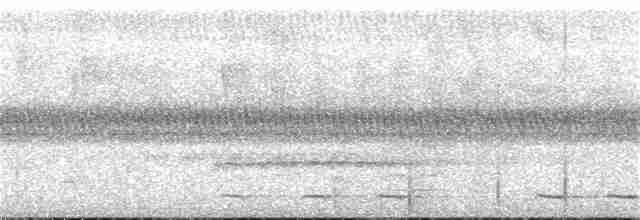 Streifenbrust-Ameisendrossel - ML43558421