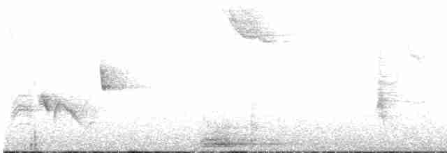 White-eyed Vireo - ML435815951