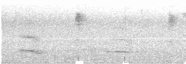 tukan volavý (ssp. ariel) - ML435940151