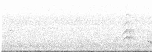 aviceda hnědohřbetá - ML435949011