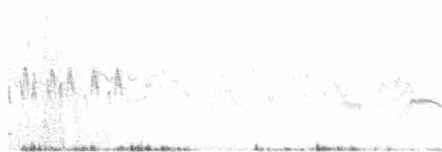 Фірлюк яванський [група javanica] - ML43600991