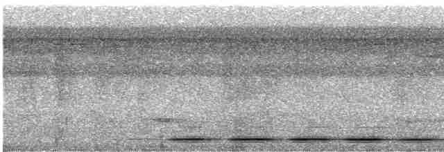 Ardıç Yerçavuşu - ML436108051