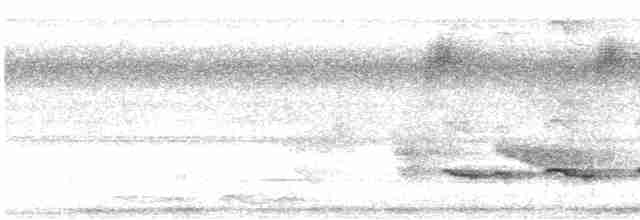 Weißschulter-Ameisenvogel - ML436108101