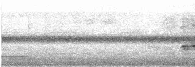 Weißstirn-Ameisenschnäpper - ML436108811