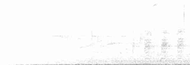 Weißstirnamazone - ML436125631