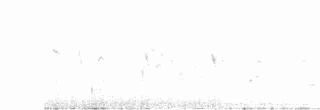 Kanario arrunta - ML436163201