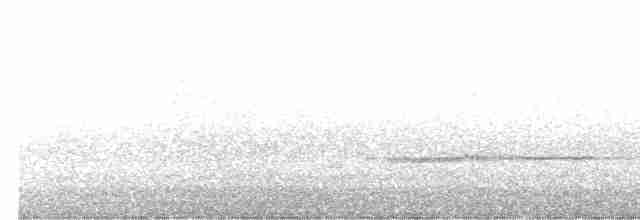 Tichodrome échelette - ML436171961