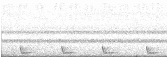 Large-tailed Nightjar - ML436201681