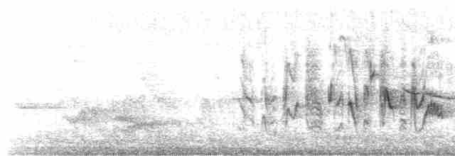 Braunaugenvireo (pusillus) - ML436236361