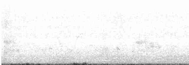 Manchurian Bush Warbler - ML436393921