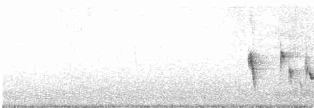 White-eyed Vireo - ML436424961