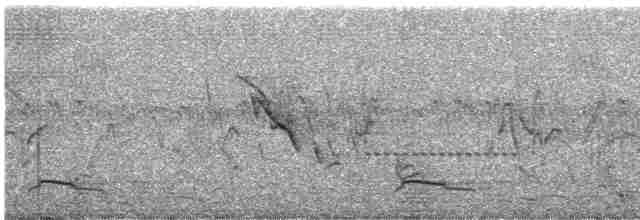 Azor Lagartijero Oscuro - ML436507281