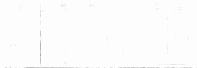 holub fialový - ML436612021
