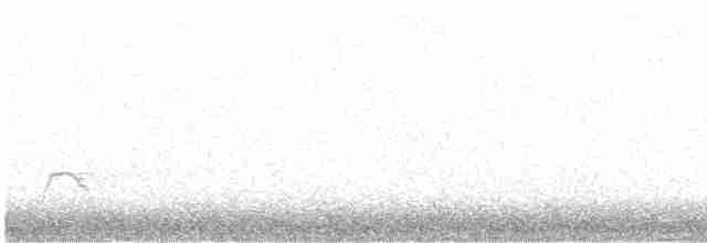 Eurasian Oystercatcher - ML436666081