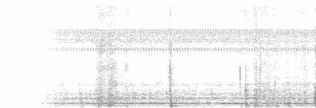 Приморская овсянка-барсучок (mirabilis) - ML436673661