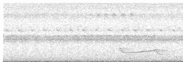 Ötücü Çobanaldatan (nigriscapularis) - ML436925961