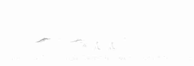 Горихвістка звичайна - ML436936151