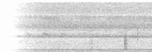 White-necked Rockfowl - ML436983161