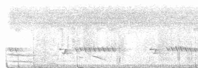 Luzonschneidervogel - ML436999611
