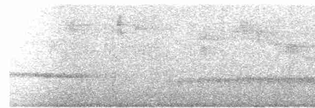 Russet-tailed Thrush - ML437130741