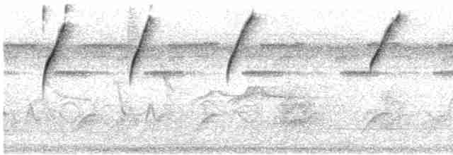 Краснохвостый колибри-отшельник - ML437142001