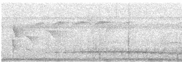 Strichelschulter-Ameisenschnäpper - ML437168401