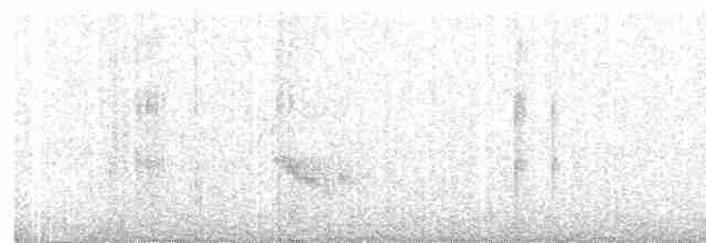 Plumbeous Vireo - ML437244321