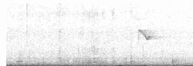 Reichenbach-Nektarvogel - ML437273711
