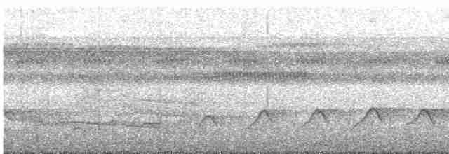 Мурав’янка сірочерева - ML437281241