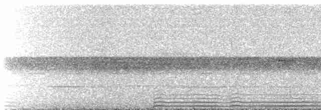 Рораймская совка (roraimae) - ML437294381