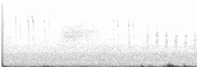 Kara Kuyruklu Bitkuşu - ML437325321