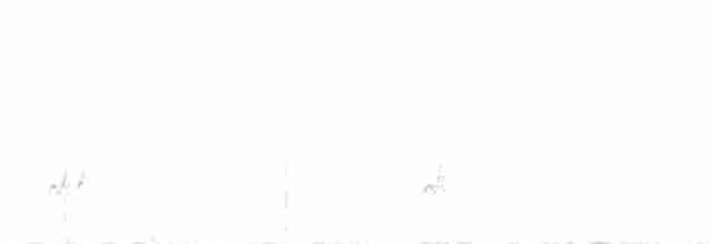 Бледногорлый миарх - ML437336081