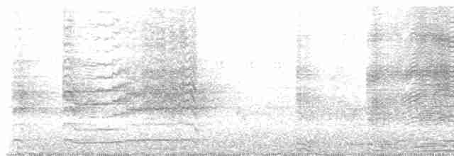 Boninsturmvogel - ML437347101