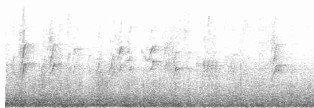 סנונית רפתות - ML437533501