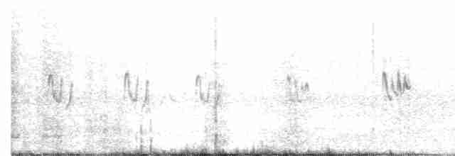 Singing Bushlark (Australasian) - ML43770531