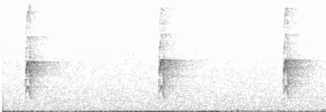 strakapoud bělohřbetý - ML437739531