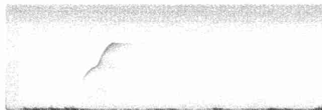 Batı Amerika Sinekkapanı (occidentalis/hellmayri) - ML437856841