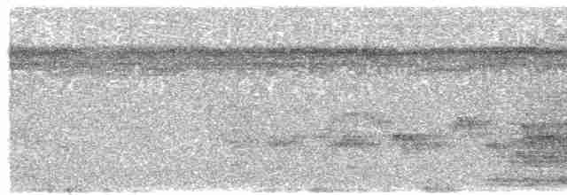  - Lesser Yellow-headed Vulture