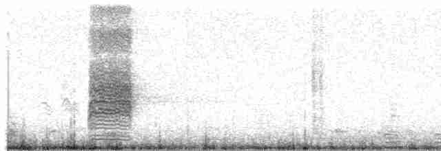 Great Gray Shrike (Sahara) - ML437917641