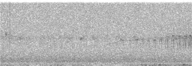 Puna Thistletail - ML43792531