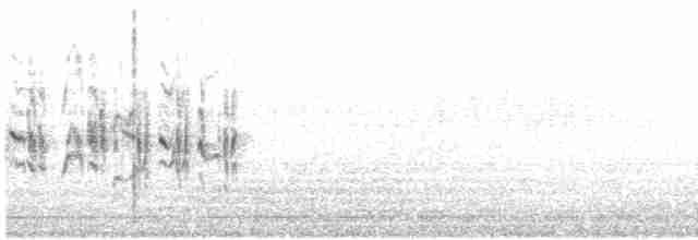 Balearengrasmücke - ML437947261