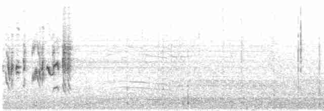 Balearengrasmücke - ML437947291