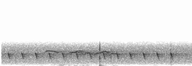 Gray Nightjar - ML438101901