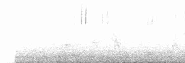 Юнко сірий (підвид cismontanus) - ML438156181