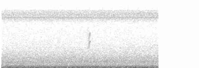 סנונית בלתי-מזוהה - ML438175801