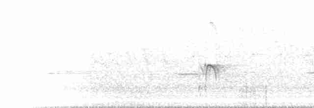Black Bee-eater - ML438187351