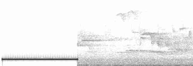 Eurasian Wren (British) - ML438275661