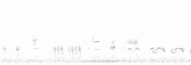 Great Reed Warbler - ML438285741