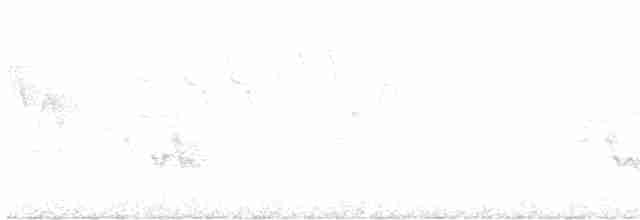 Paruline vermivore - ML438382821