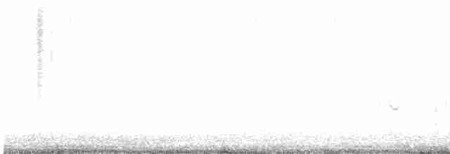 strakapoud americký [skupina harrisi] - ML438453611